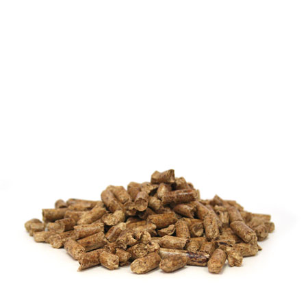 pellet